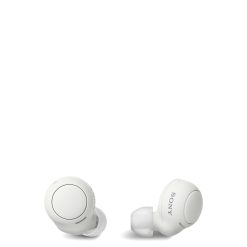 WFC500 Tru Wireless in-ear Headphones