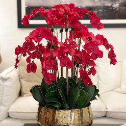 Red Phalaenopsis Orchids Floral Arrangement in Large Gold Planter