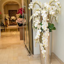 Cascading Phalaenopsis Orchids in Tapered Stainless Steel Polished Cone