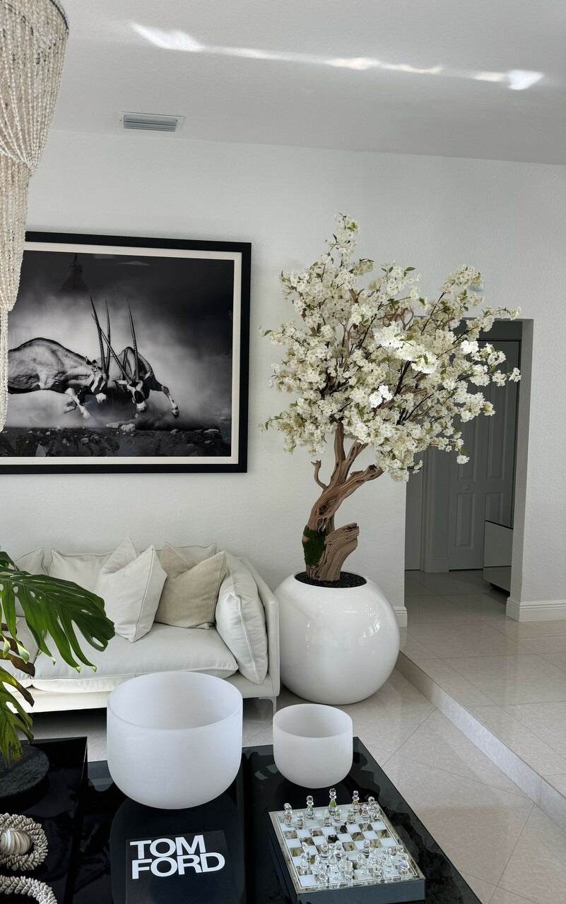 IMG_0985__79680.1717001826.1280.1280