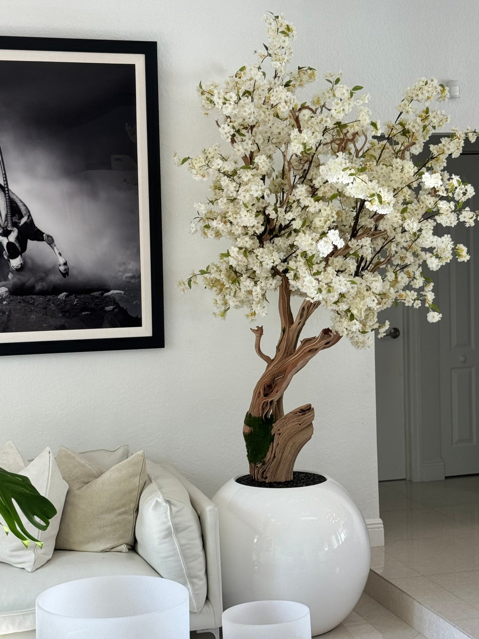 IMG_0986__26120.1717001729.1280.1280