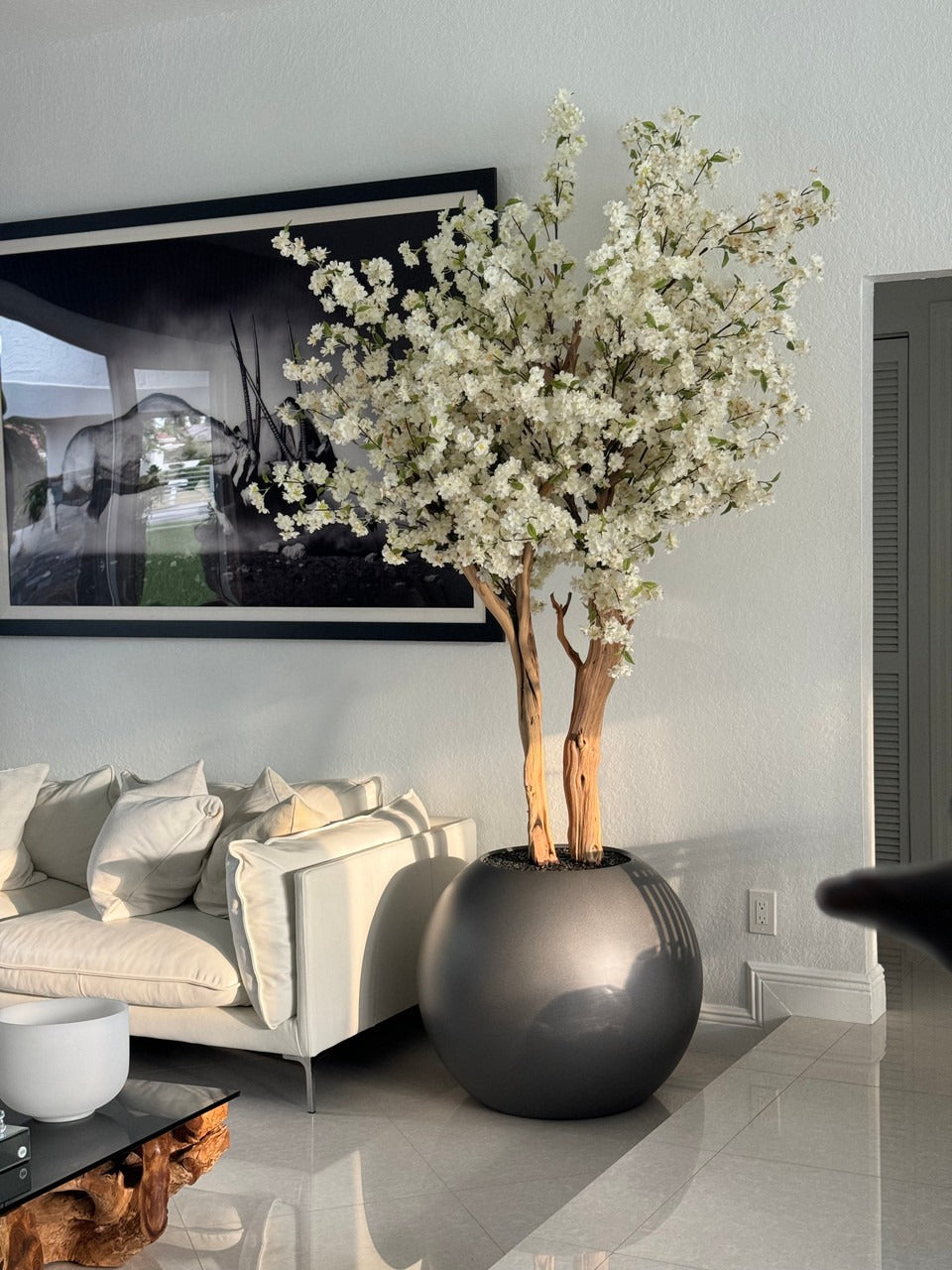 IMG_1287__26512.1718567761.1280.1280