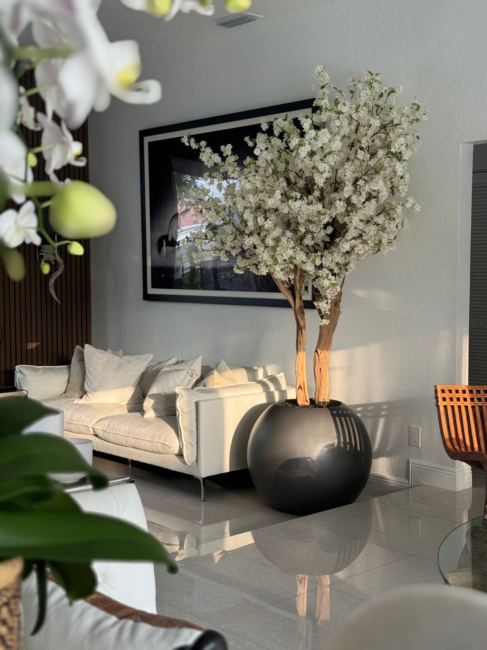 IMG_1289__88910.1718567761.1280.1280