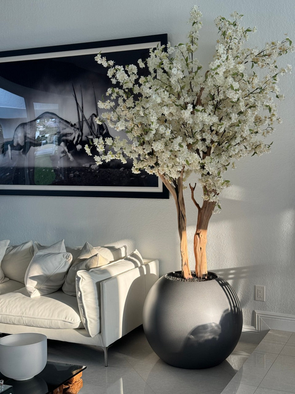 IMG_1292__76392.1718567761.1280.1280