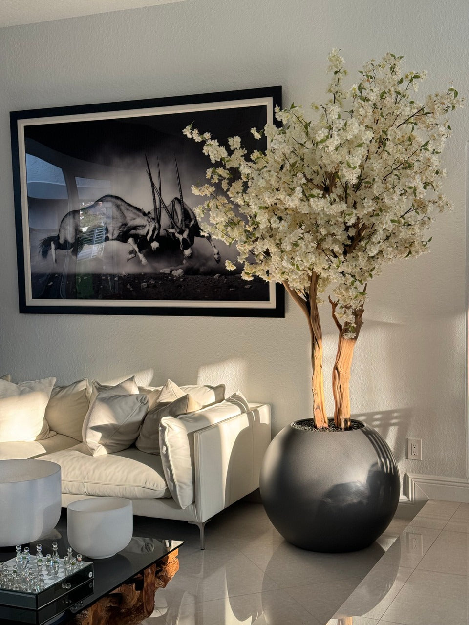 IMG_1300__42315.1718567761.1280.1280