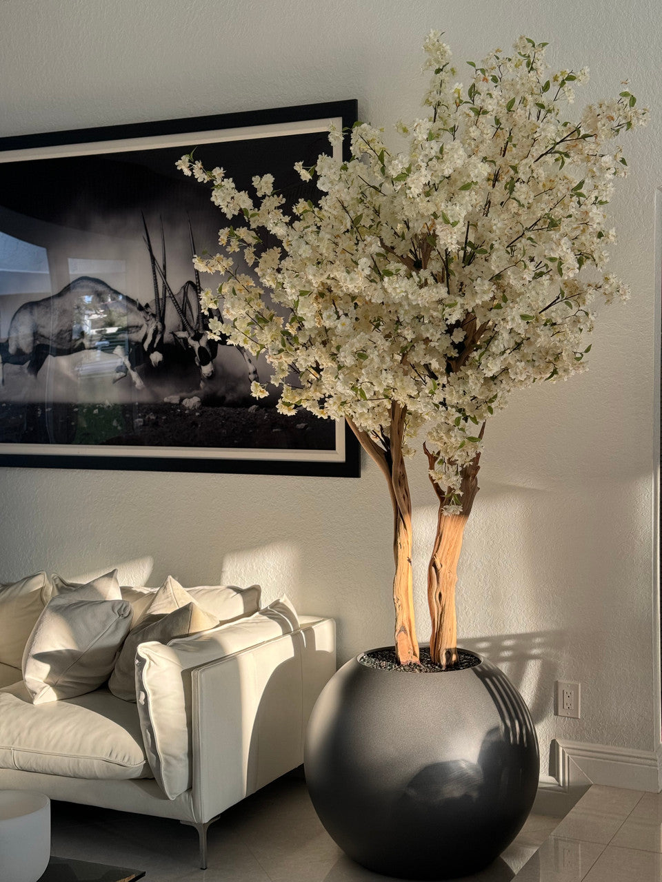 IMG_1301__40841.1718567761.1280.1280