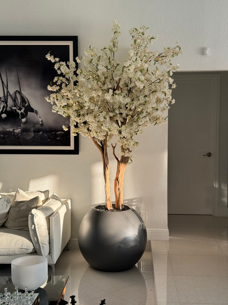 IMG_1302__32936.1718567761.1280.1280