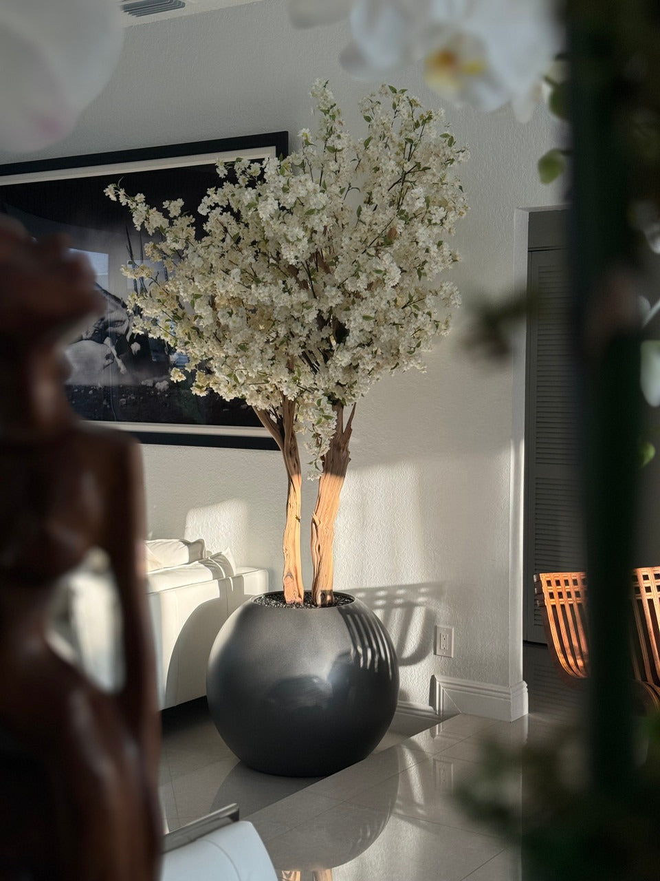 IMG_1305__73819.1718567760.1280.1280