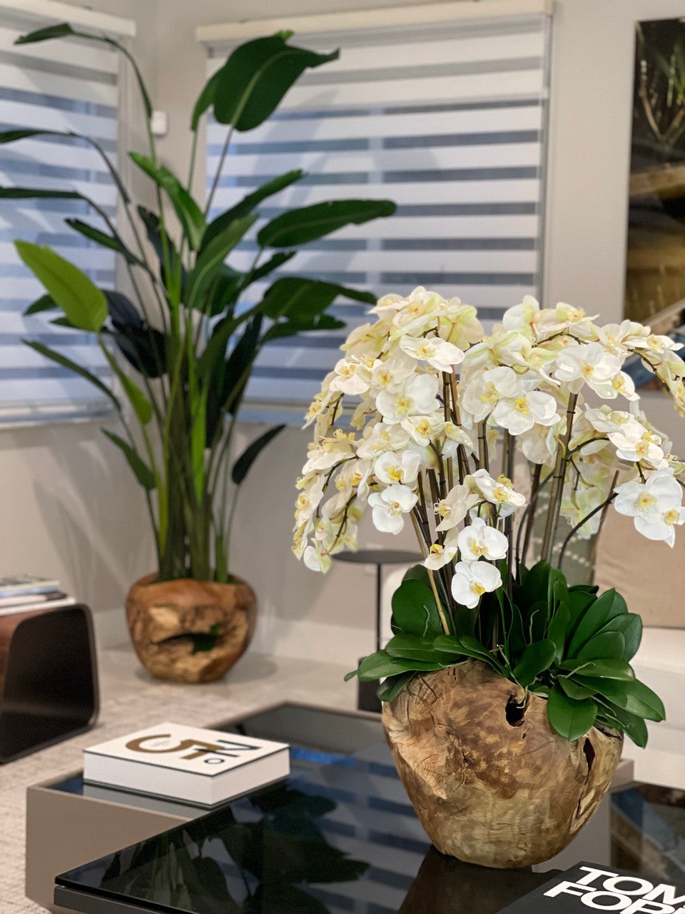 IMG_2590__68869.1661011867.1280.1280