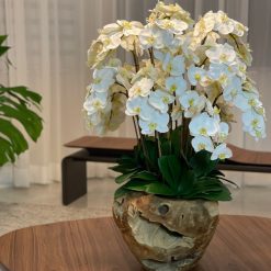 Extra Large Rustic Teak Bowl with Cascading White Orchids