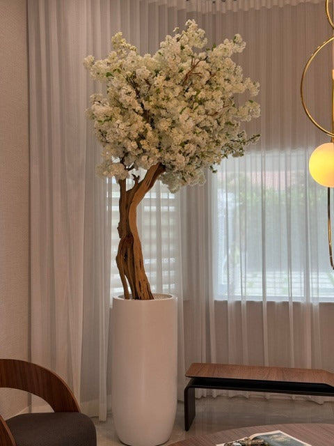 IMG_3129__00372.1721850186.1280.1280