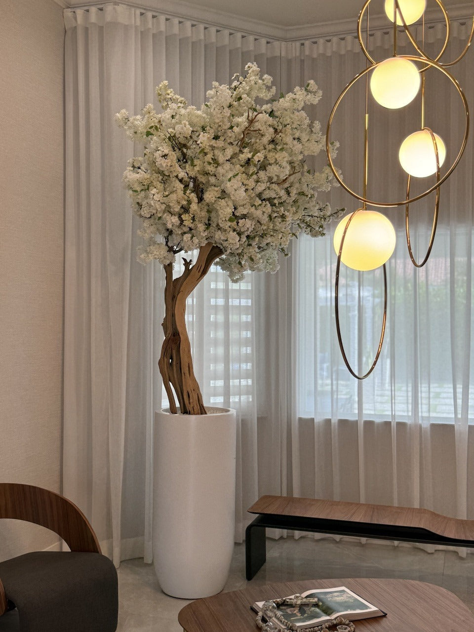 IMG_3165__27528.1721850090.1280.1280