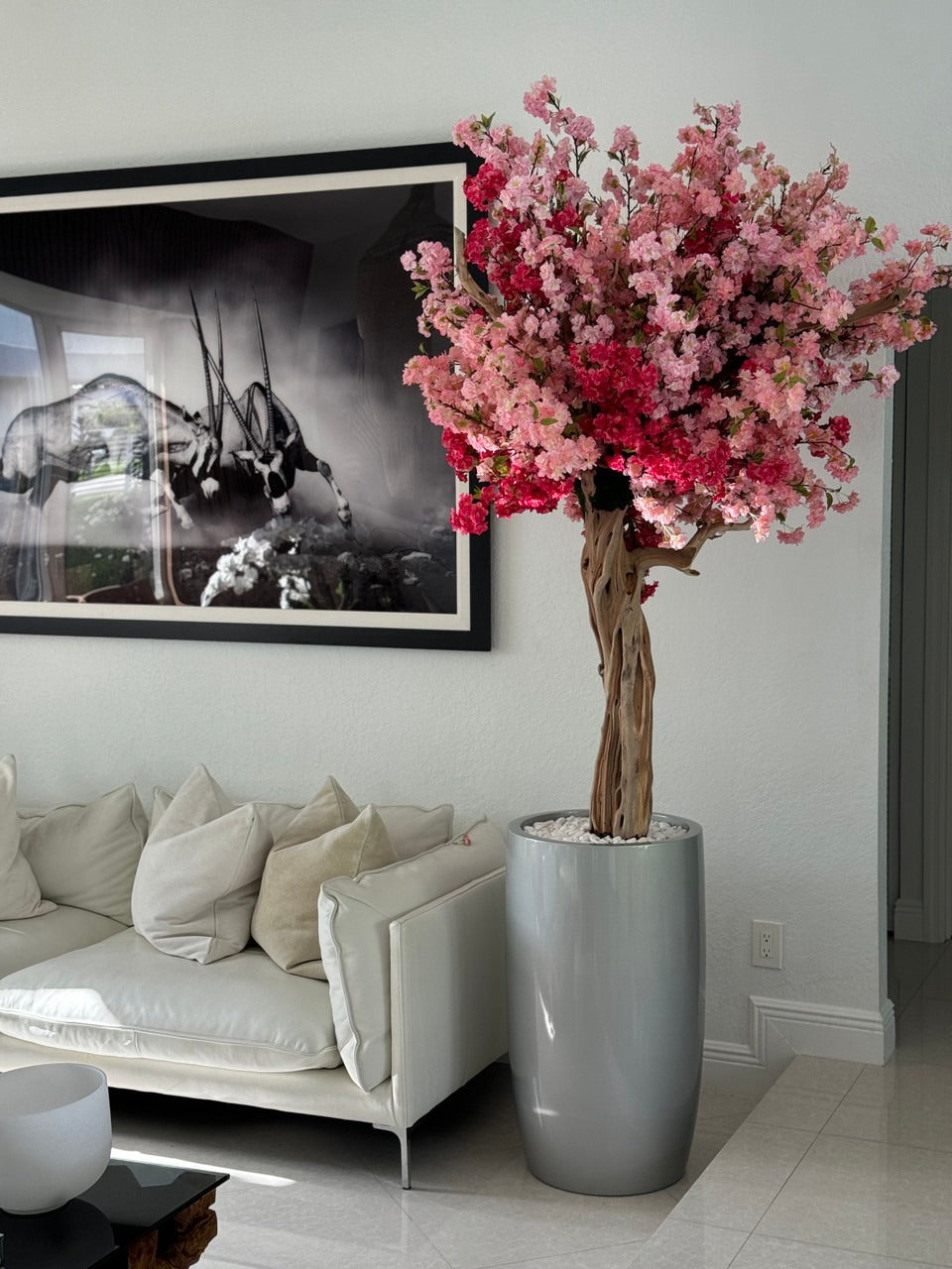 IMG_3229__06145.1721920441.1280.1280