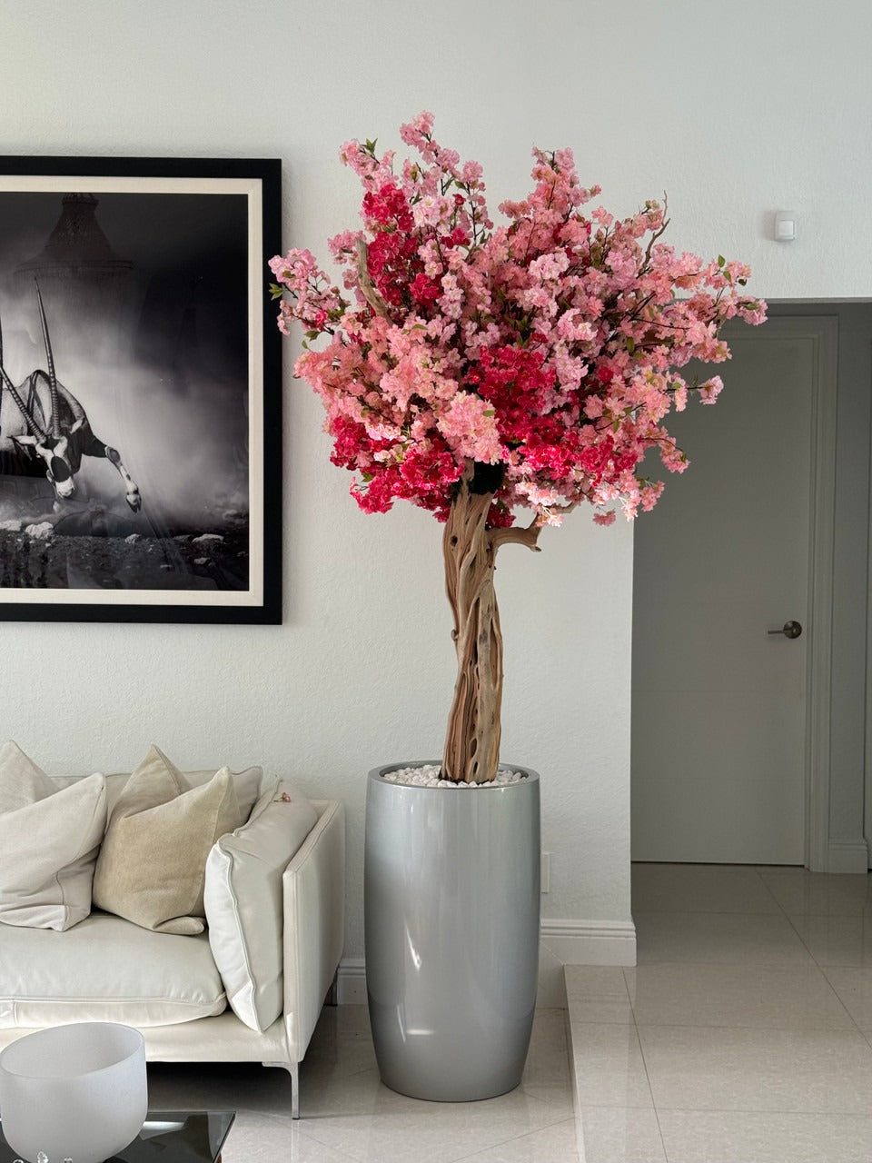 IMG_3230__72427.1721920442.1280.1280