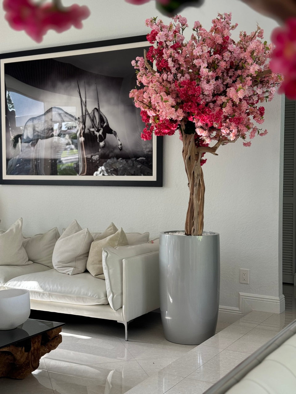 IMG_3231__64192.1721920441.1280.1280