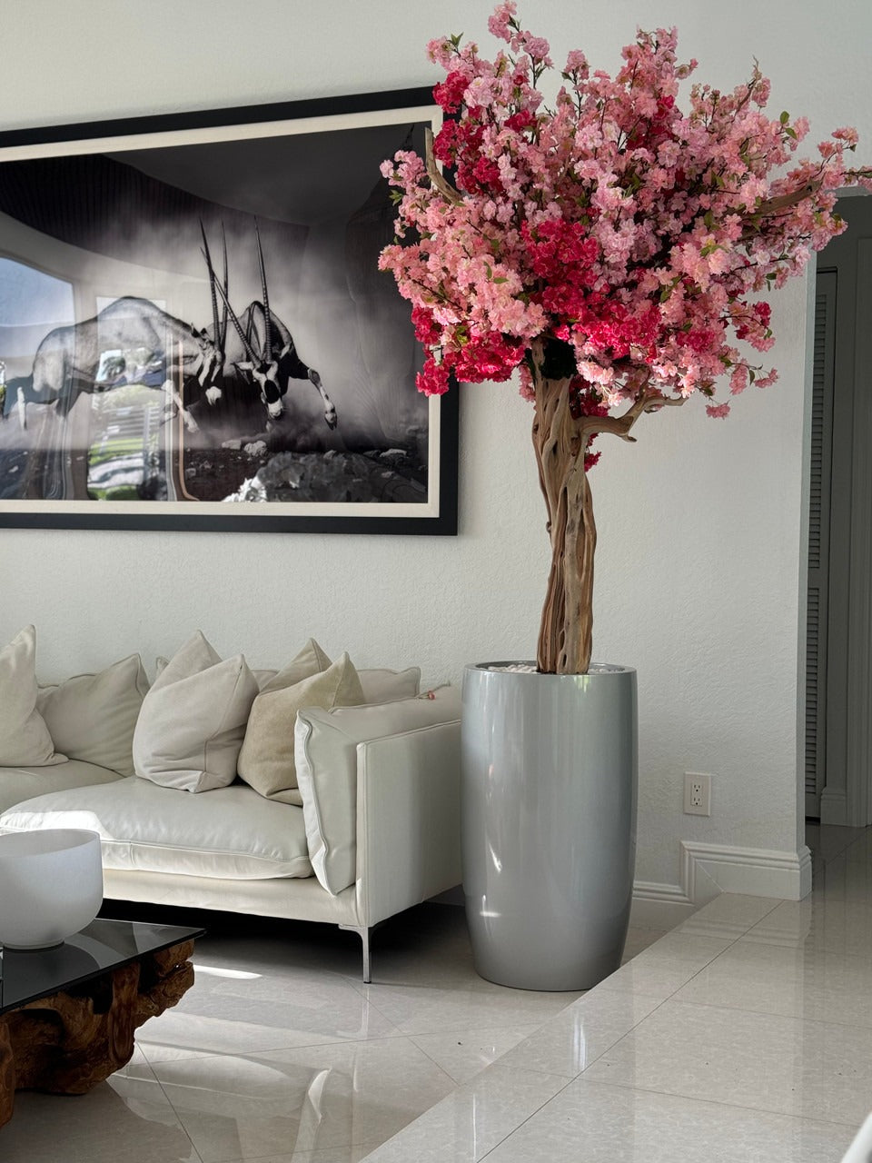 IMG_3232__91908.1721920441.1280.1280