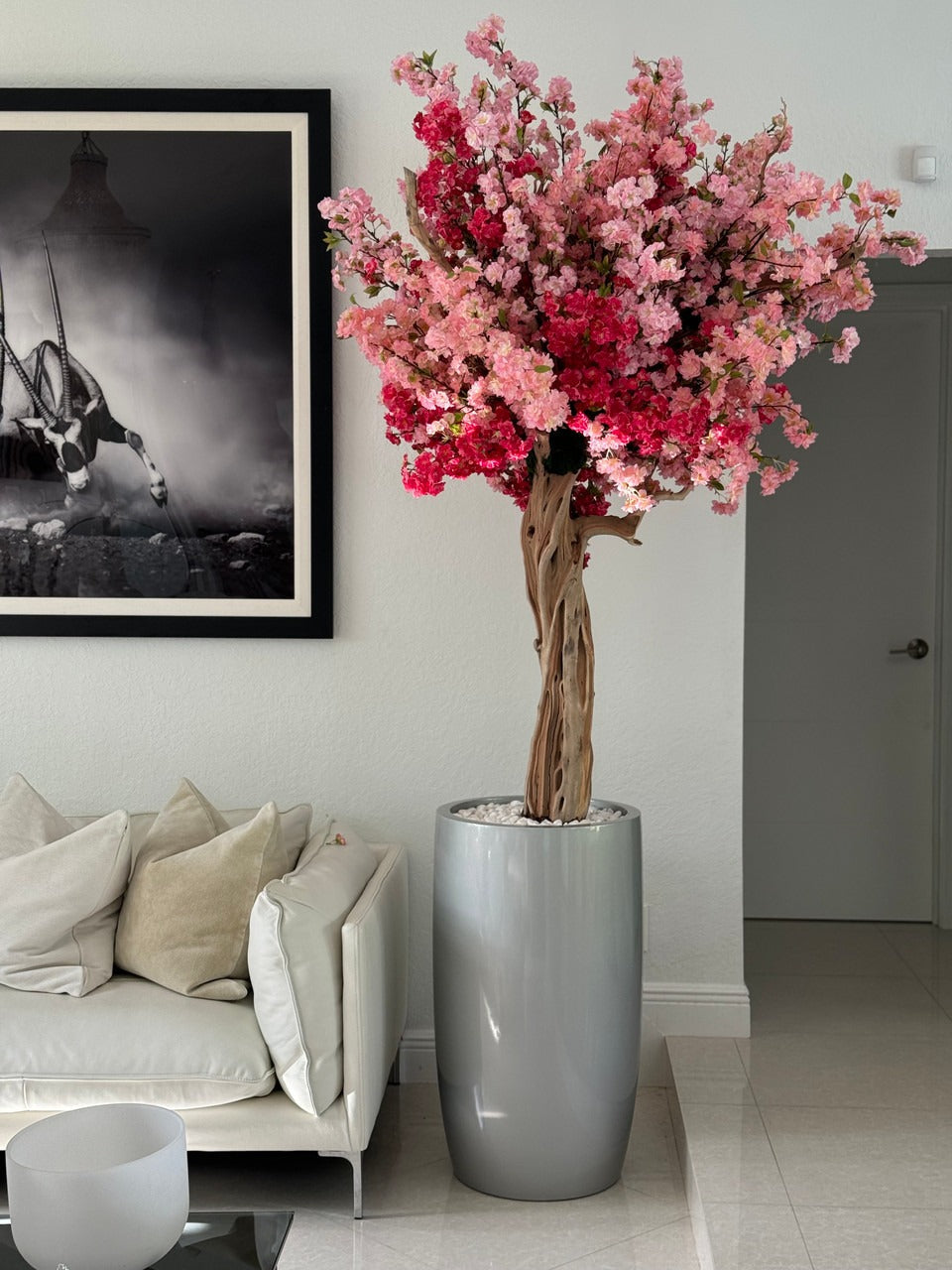 IMG_3234__94217.1721920450.1280.1280