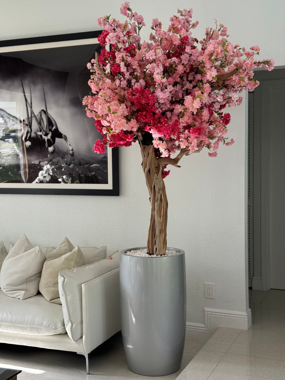 IMG_3235__62316.1721920441.1280.1280