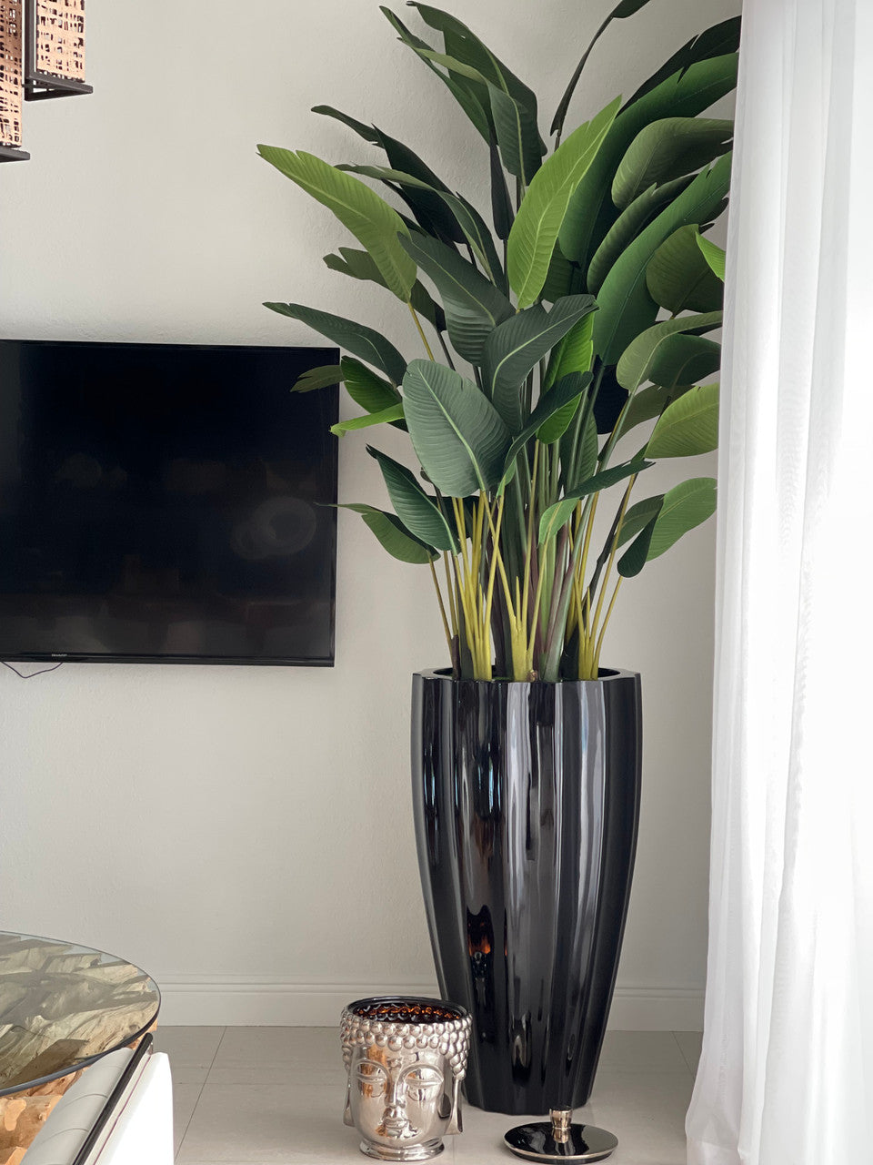 IMG_4716__51785.1685561651.1280.1280