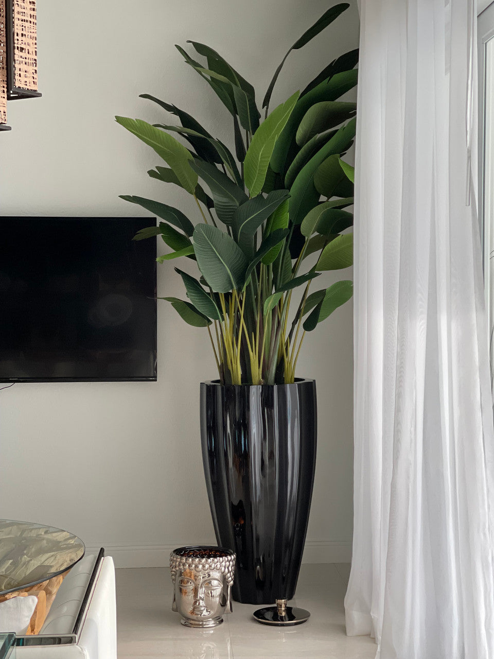 IMG_4717__21170.1685561652.1280.1280