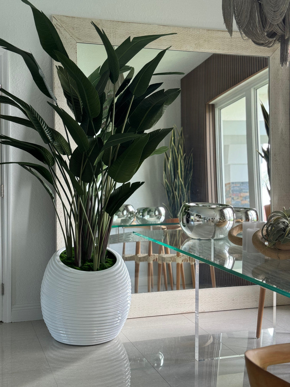 IMG_4772__85664.1705630048.1280.1280