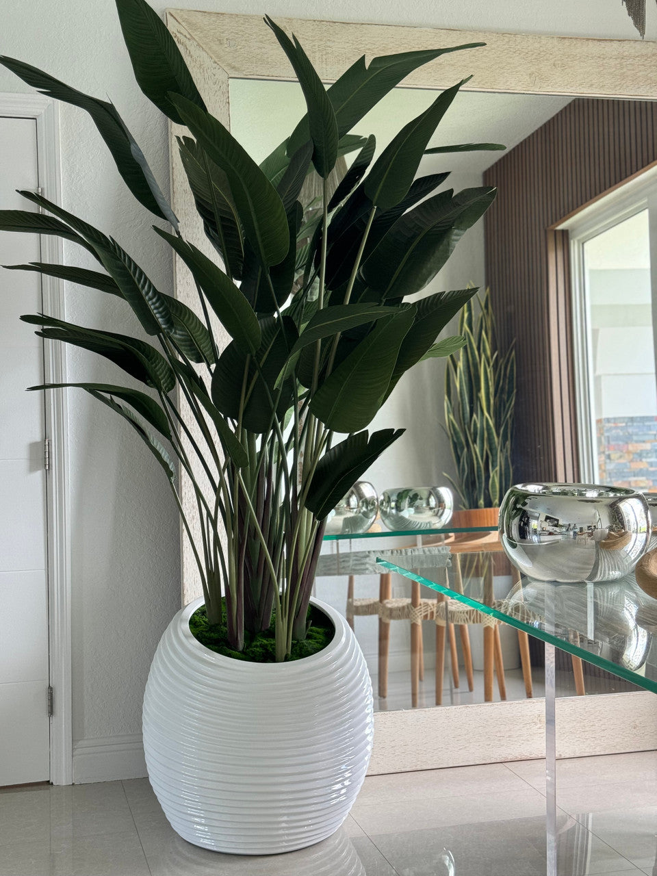 IMG_4776__04215.1705630049.1280.1280