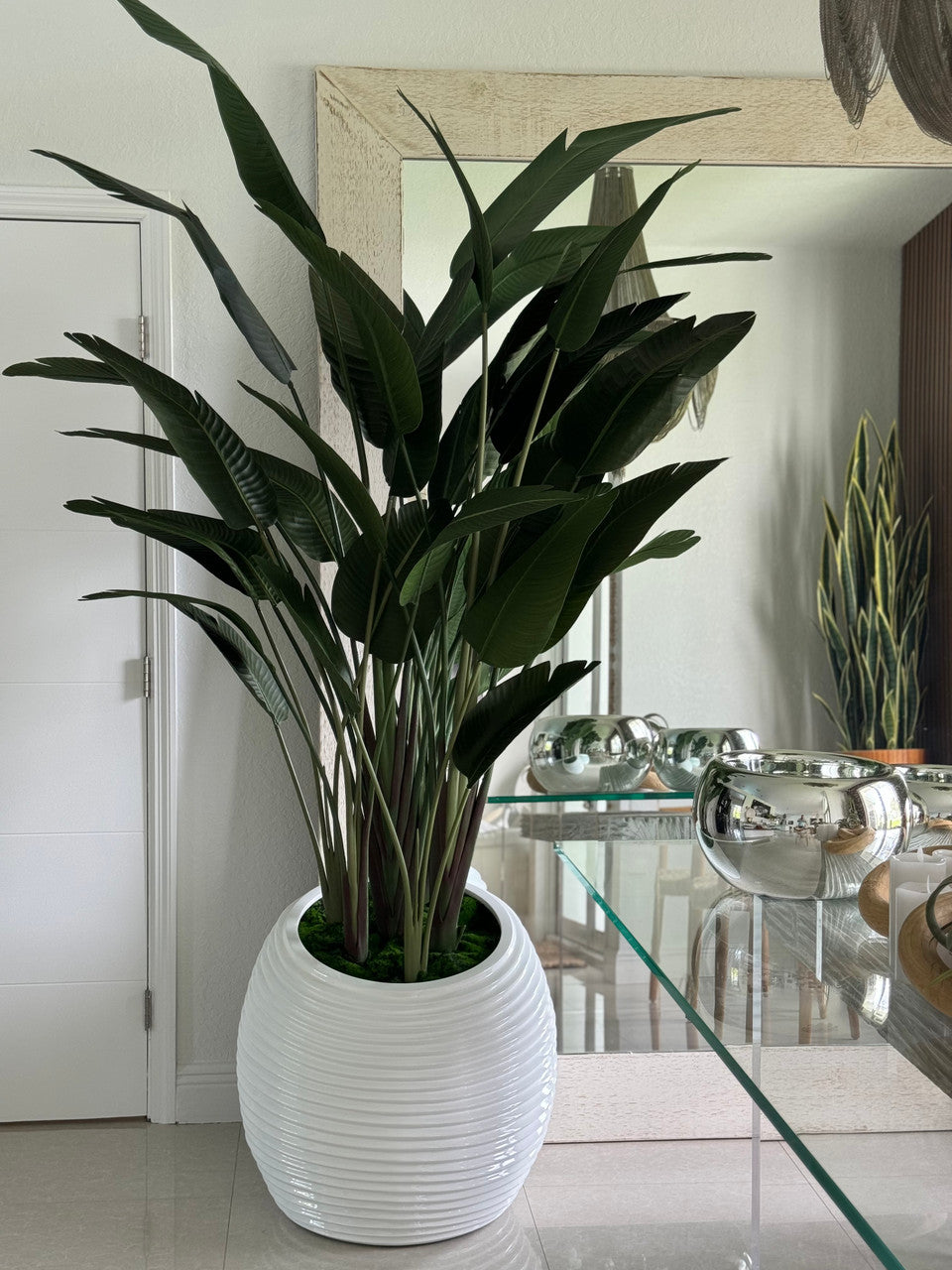 IMG_4779__03387.1705630048.1280.1280