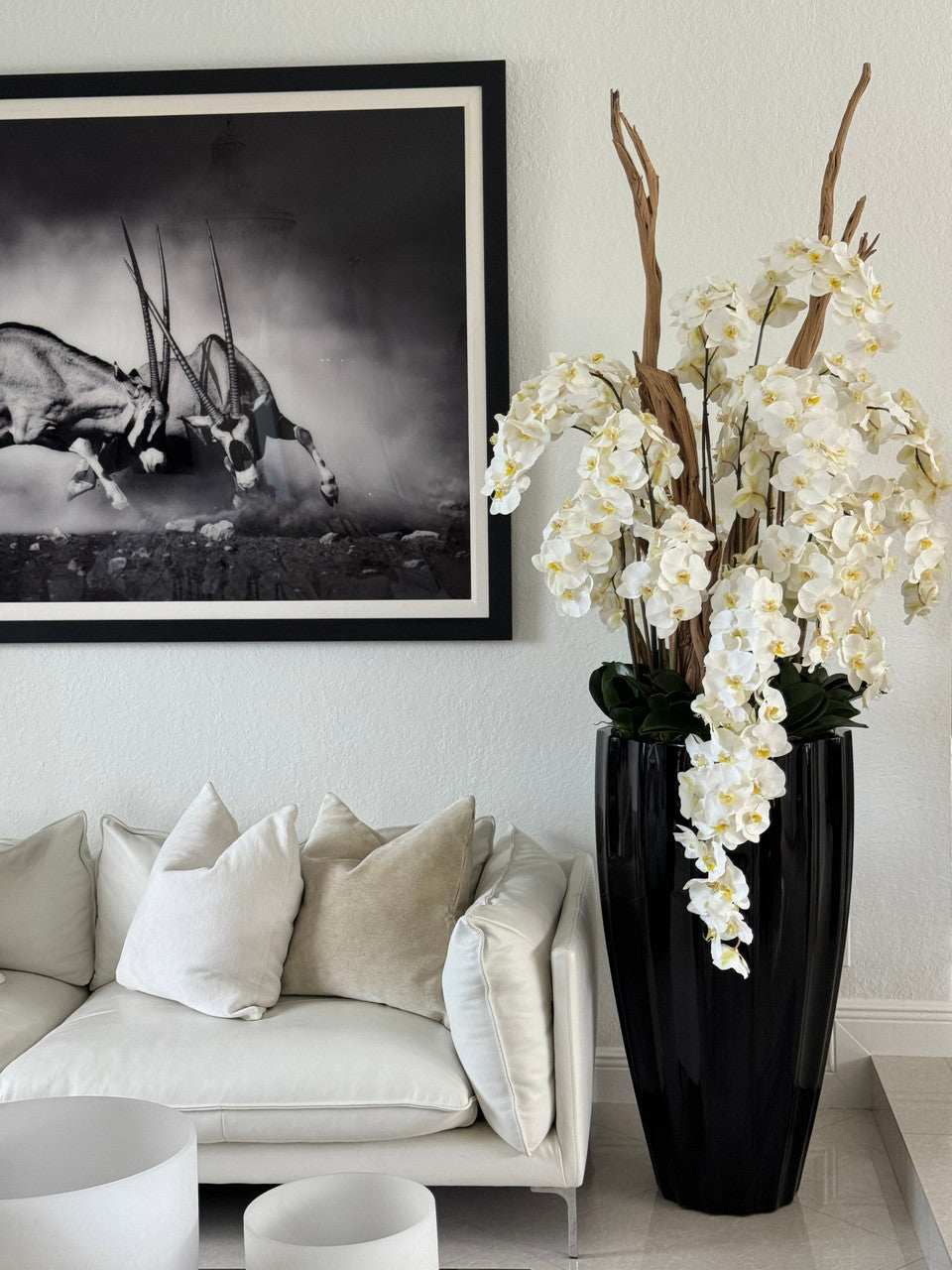 IMG_5064__91914.1706152093.1280.1280