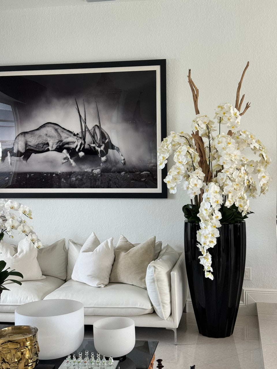 IMG_5066__06051.1706152046.1280.1280