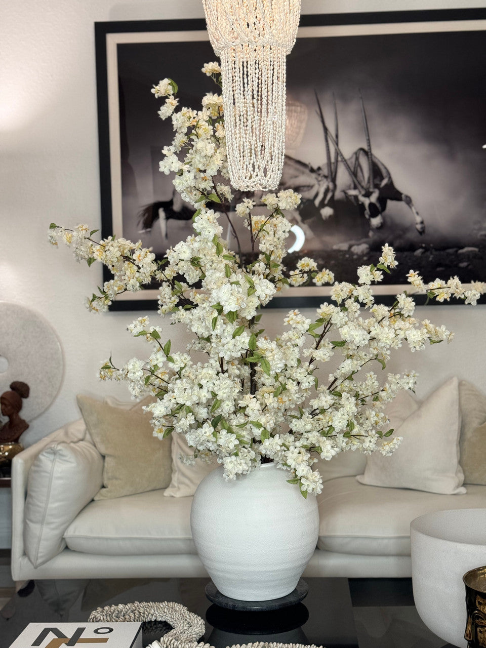 IMG_6096__07648.1707940228.1280.1280