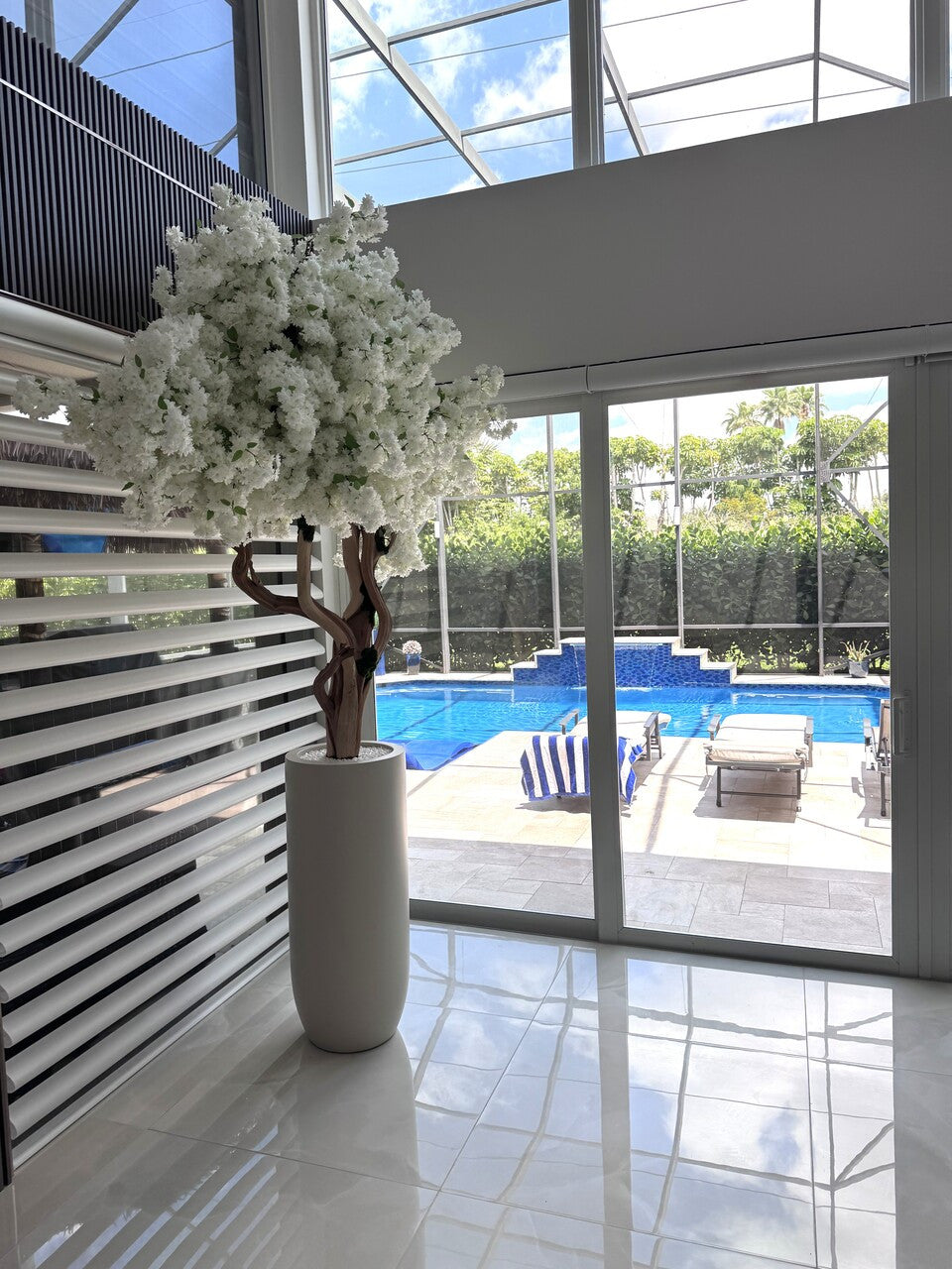 IMG_6436__96517.1747160231.1280.1280