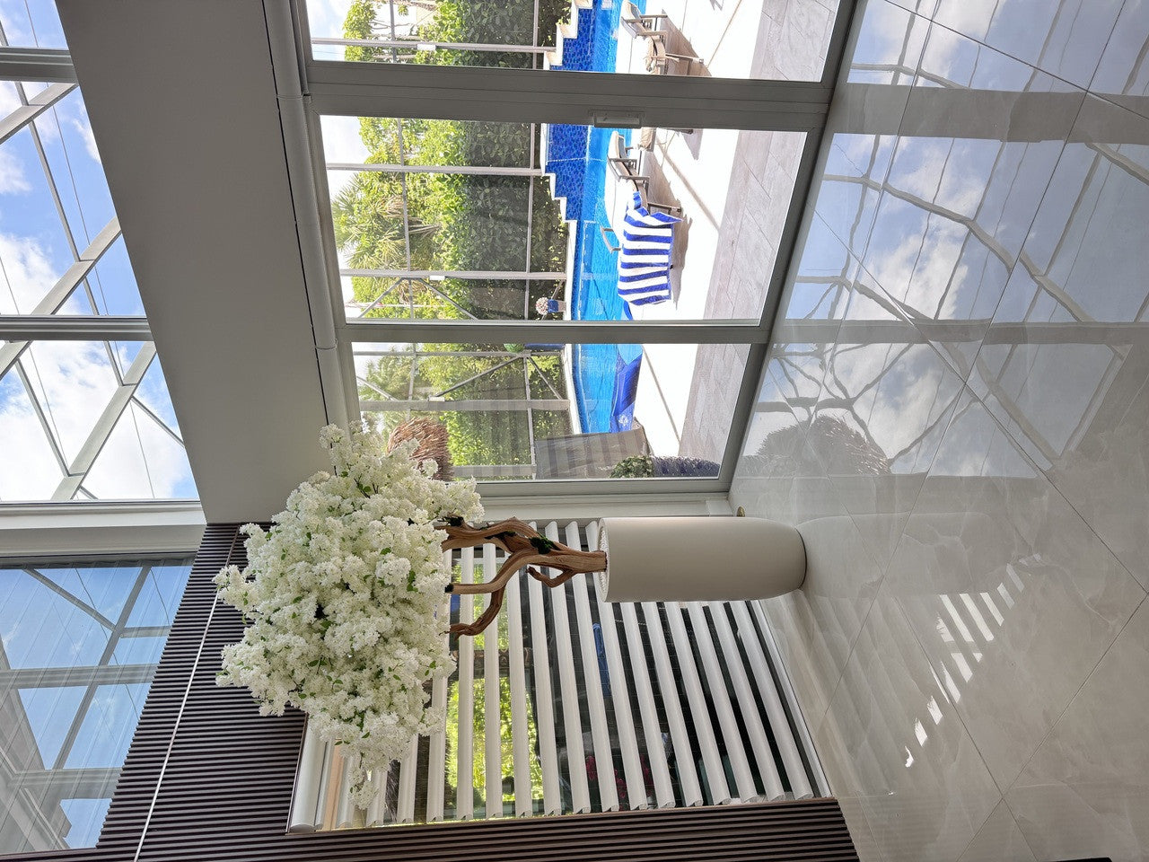 IMG_6437__40732.1747160231.1280.1280