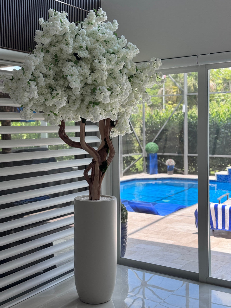 IMG_6441__00603.1747160228.1280.1280