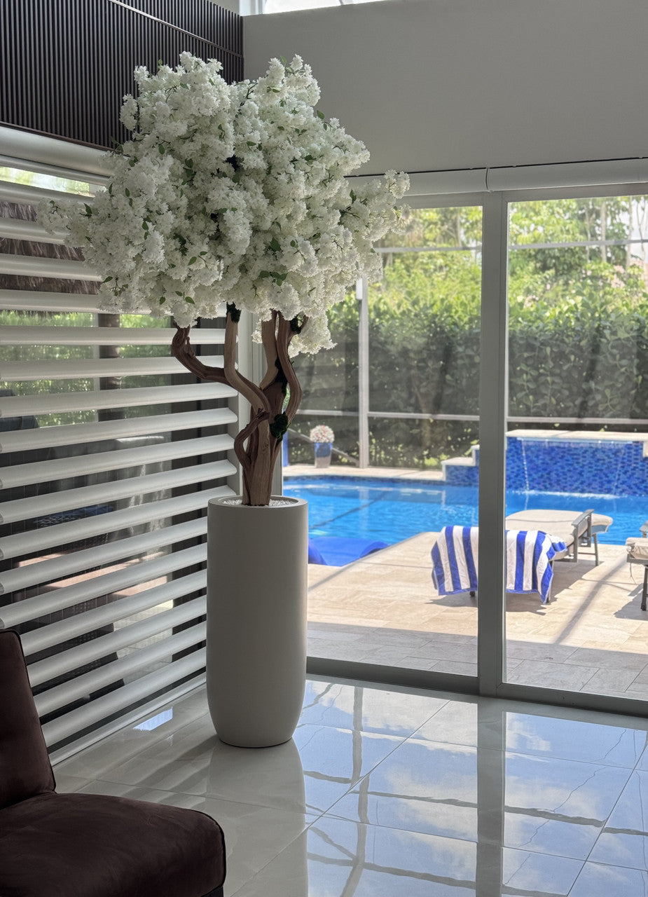 IMG_6442__45953.1747160228.1280.1280