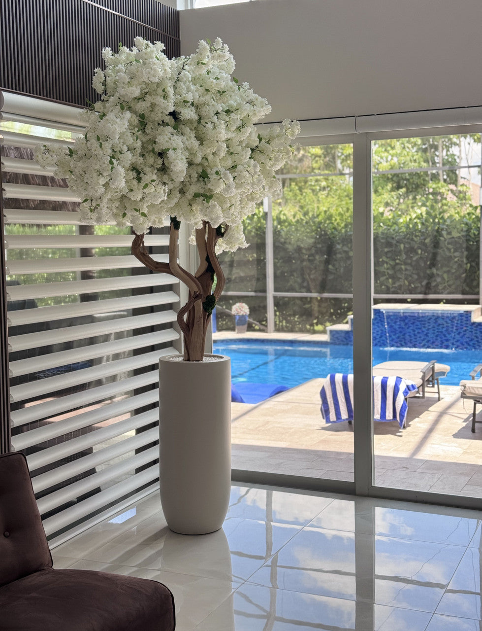 IMG_6443__83278.1747160228.1280.1280