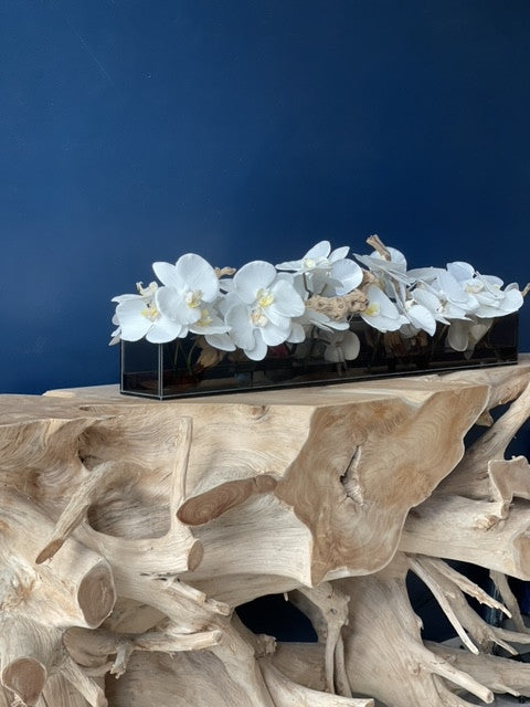 IMG_6464__62474.1667926970.1280.1280