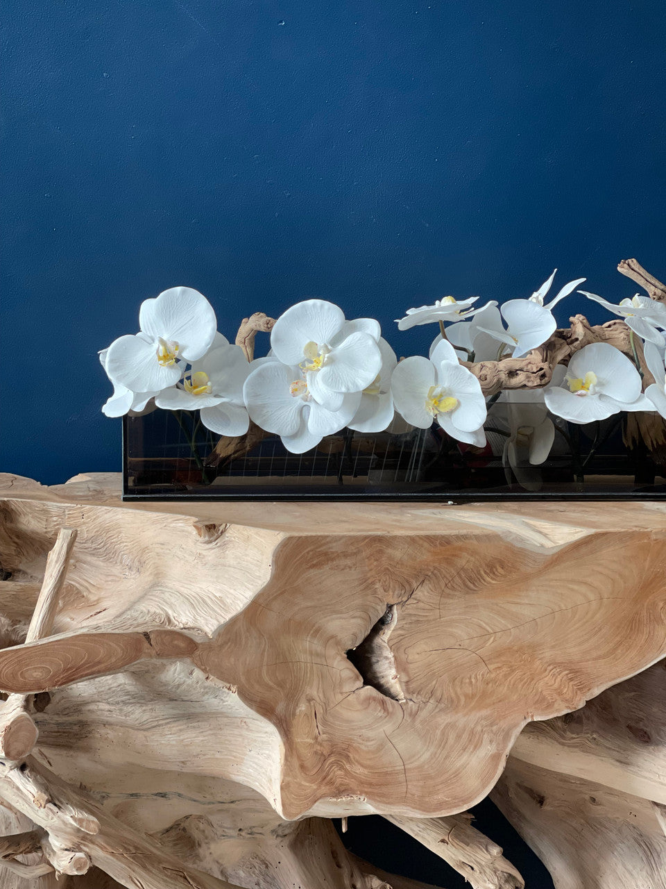 IMG_6465__15003.1667926972.1280.1280