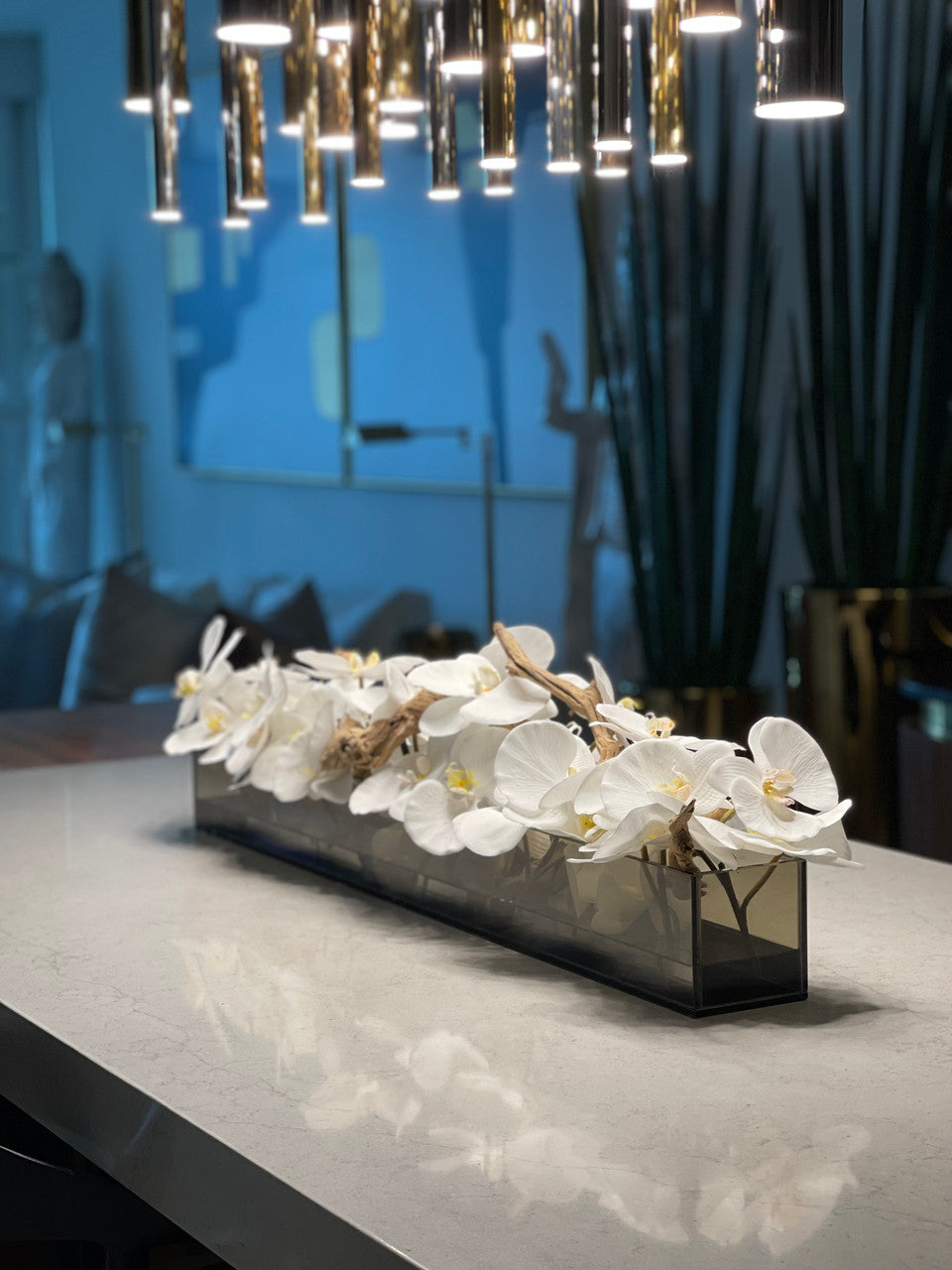 IMG_6508__35589.1667927029.1280.1280