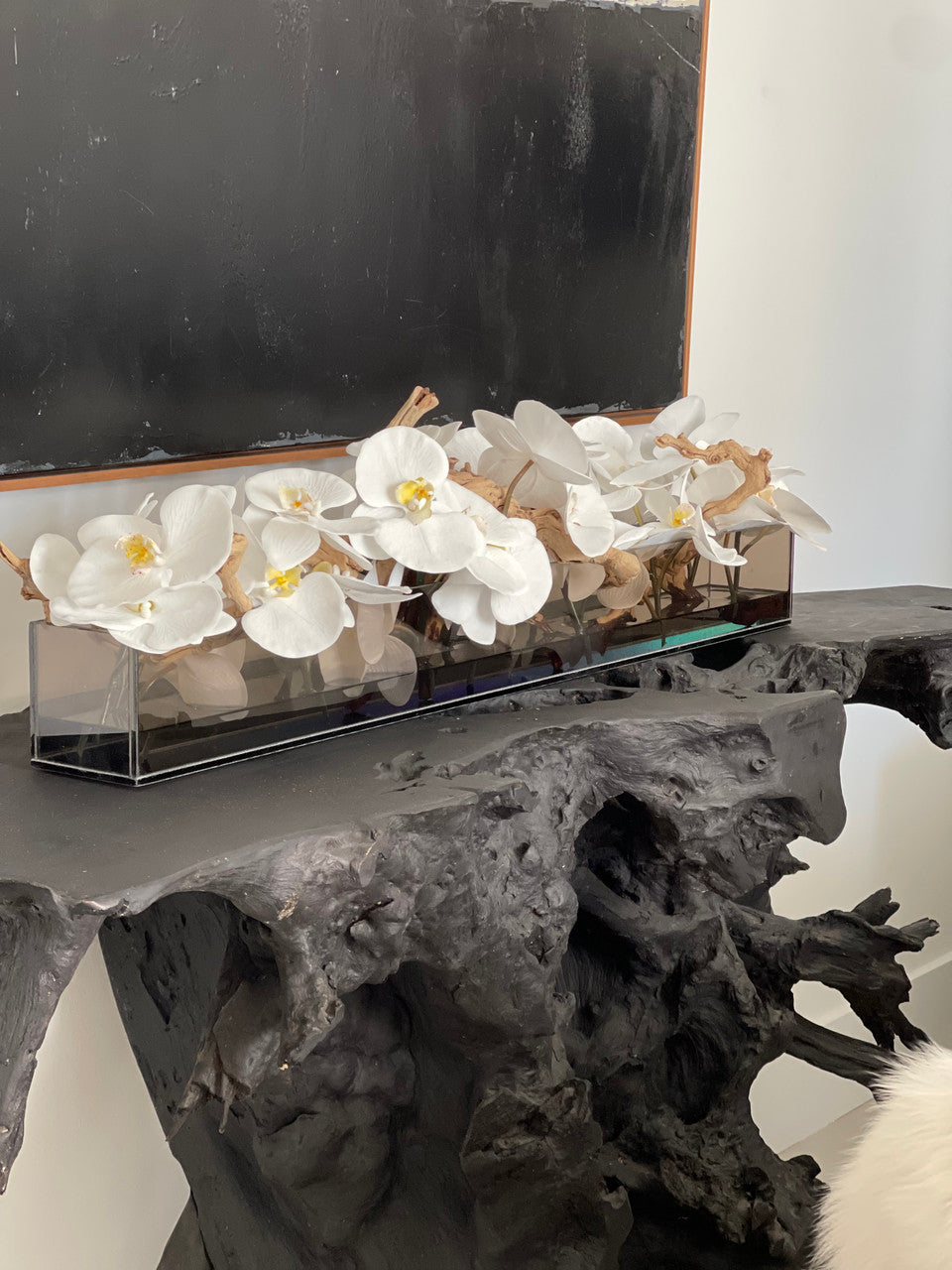 IMG_6512__64940.1667926971.1280.1280