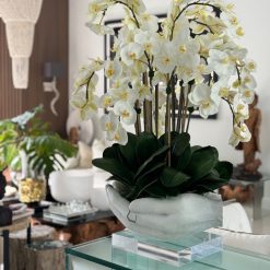 White Phalaenopsis Orchids in White Open Hands Sculpture Vase