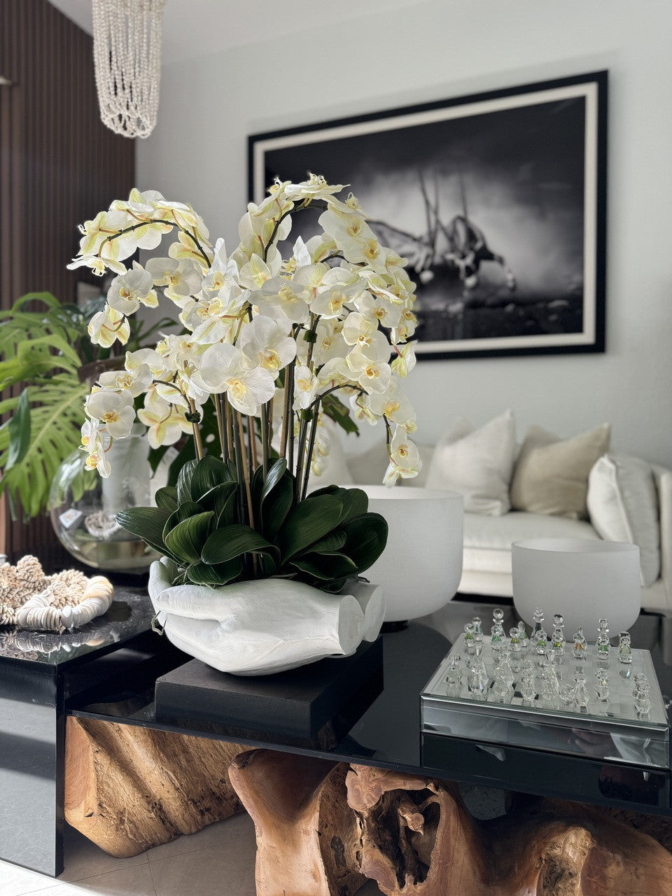 IMG_9845__93084.1714510902.1280.1280