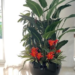 Tropical Mix Plants in Black Terragona Planter