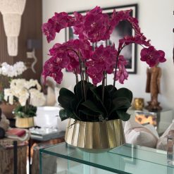 Helena Boat Planter with Pink Phaleanopsis Orchids