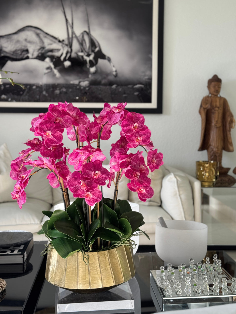 Photo_Apr_10_2025_9_33_09_AMp__46674.1744306050.1280.1280