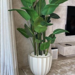 Matte Beige Santa Barbara Planter with Bird of Paradise