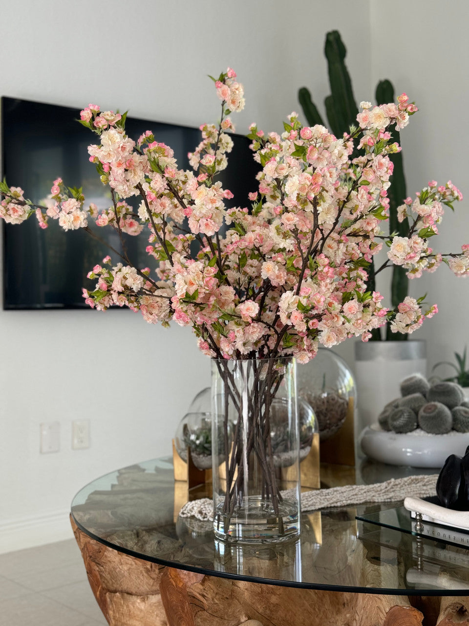 rotacherpk6__81778.1729460006.1280.1280