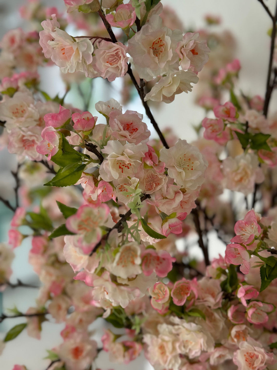 rotacherpk9__04735.1729460005.1280.1280